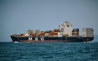 MSC cargo ship in the sea