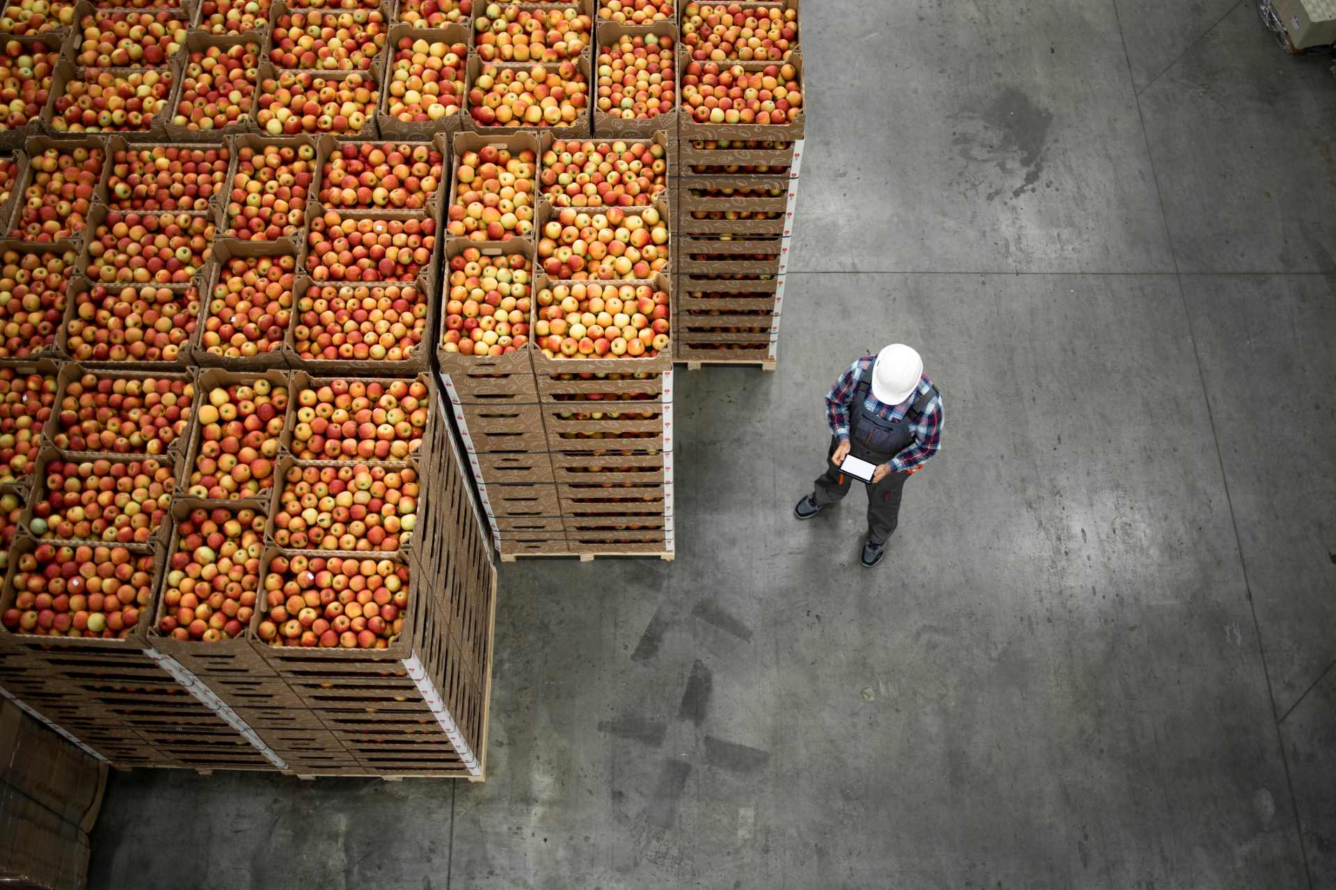 Crates of apples waiting to be shipped warehouse worker checking paperwork